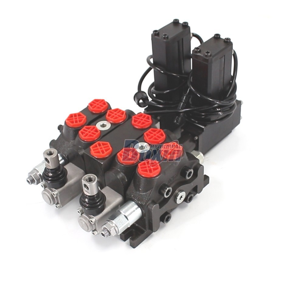 DCV60 Electric Motor 2 Spool Sectional Valve Factory Direct Supply main image